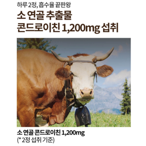 뉴트리너스 소연골 콘드로이친 1200 무릎 관절 연골 뼈 건강 영양 60정, 1개 이미지 3
