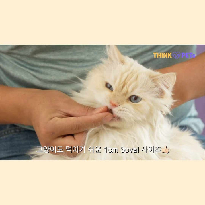 강아지 건강 관리