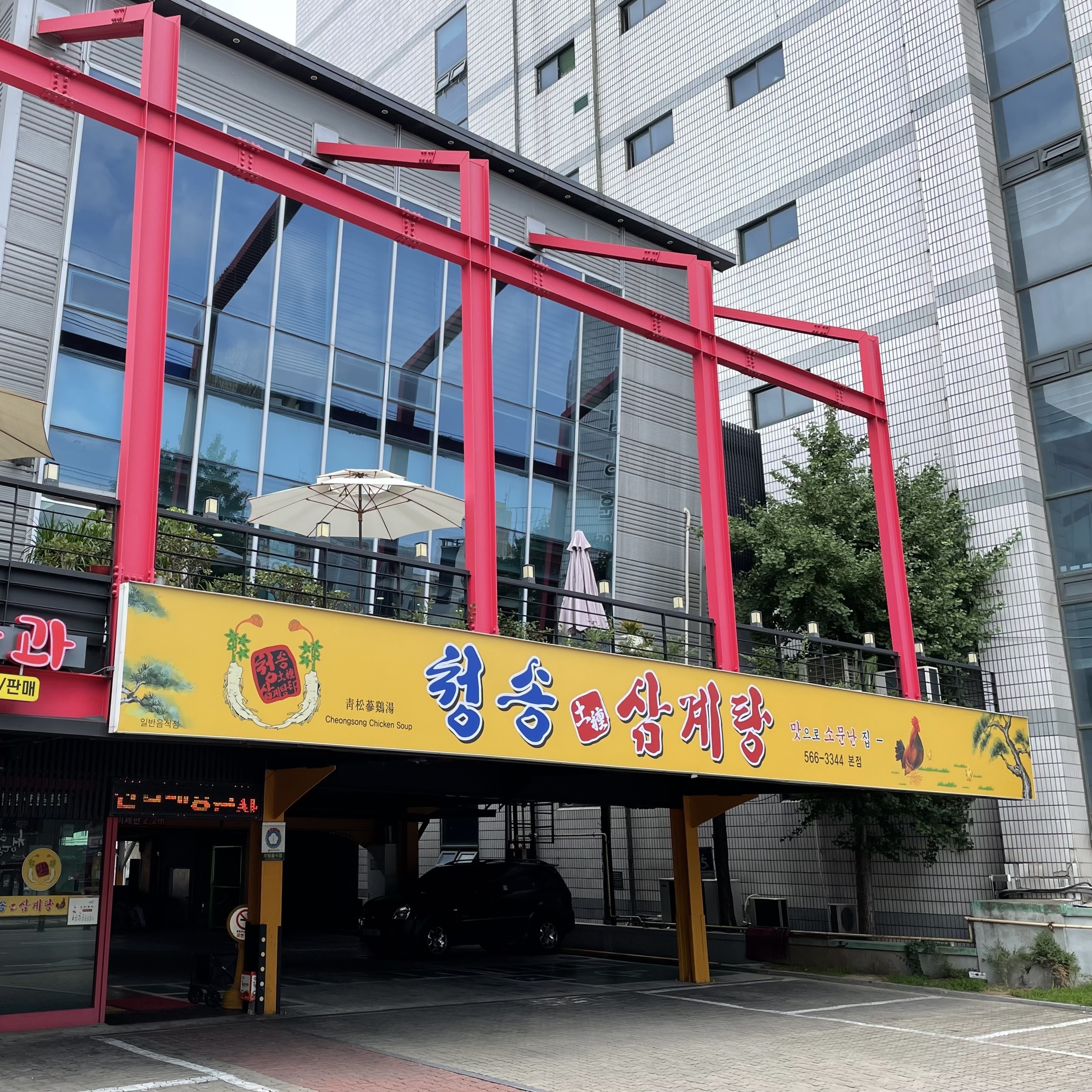 국내산 수작업 깍두기 맛집 석박지 1kg 무 김치 겉절이 섞박지 반찬 가정용 : 청송삼계탕