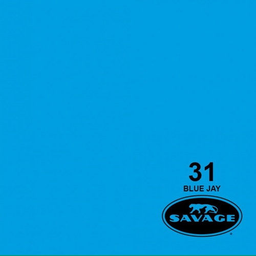 SAVAGE #31 Blue Jay