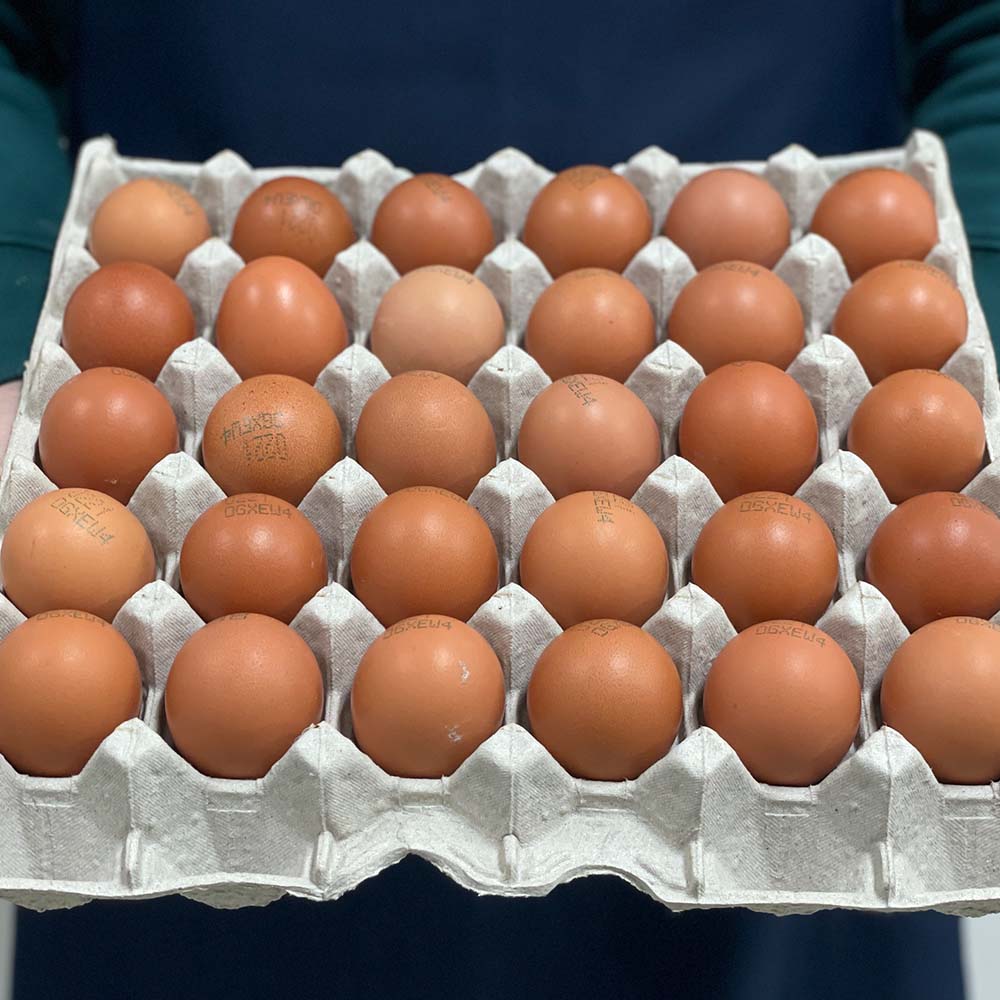 구운계란 구운란 30구/60구 파손보상 HACCP - 상세 이미지 5