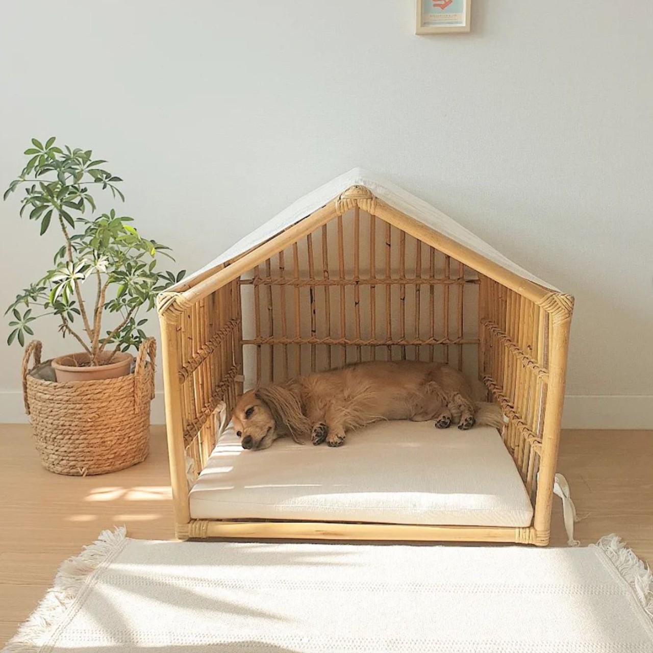 헤일리 Elisha 원목 강아지집 (패브릭 천 포함)