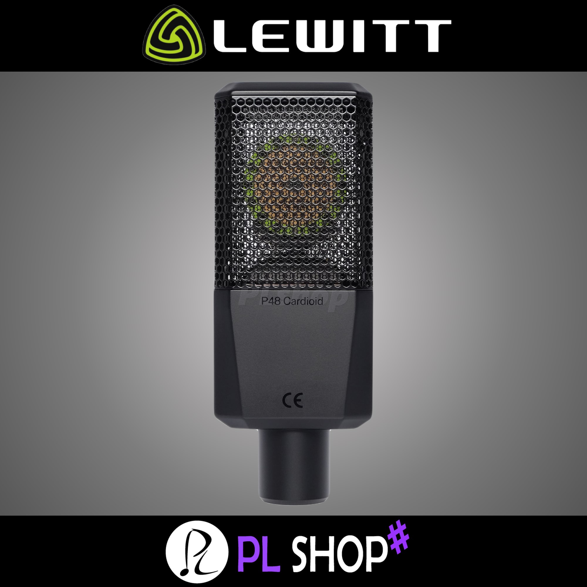 LEWITT LCT440 PURE VIDA 르윗 440 녹음 방송용 콘덴서 마이크 - 상세 이미지 5