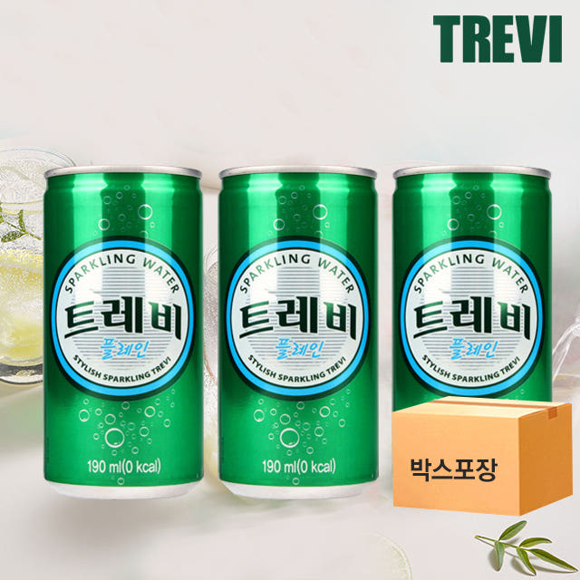 트레비 대용량 구성