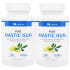 2병 마이라이프 내추럴스 매스틱검 1000 mg Mastic Gum 12... 맛있게 먹은 솔직 후기 썸네일