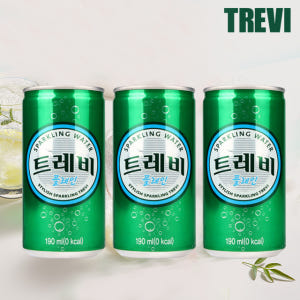 롯데 트레비캔 플레인 탄산수 190ml x 30개 맛있게 먹은 솔직 후기 - 상품 이미지 1