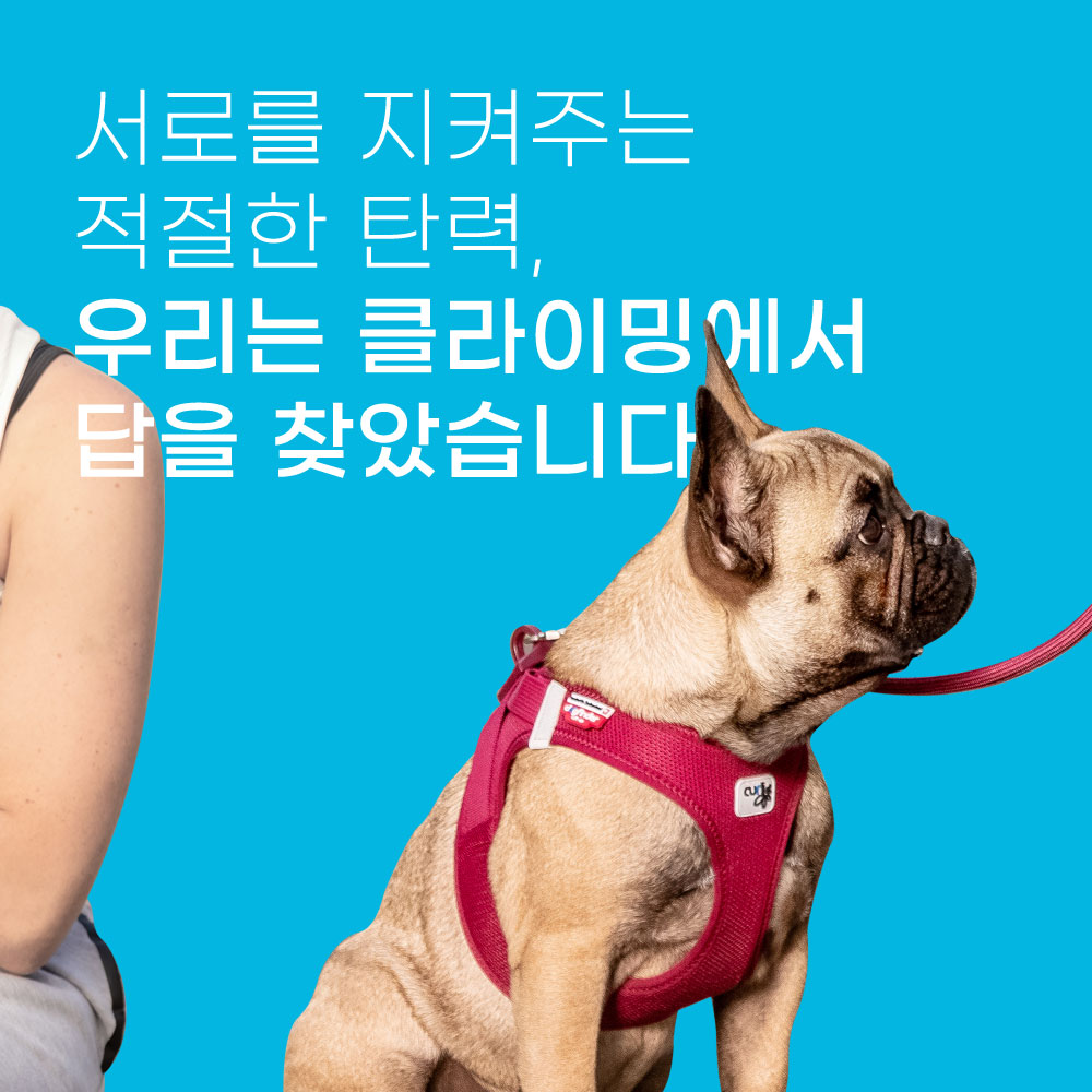 스위스 큘리 슈프림 컴포트 1.8m 리드줄 라임, M (체중 25kg까지) 이미지 6