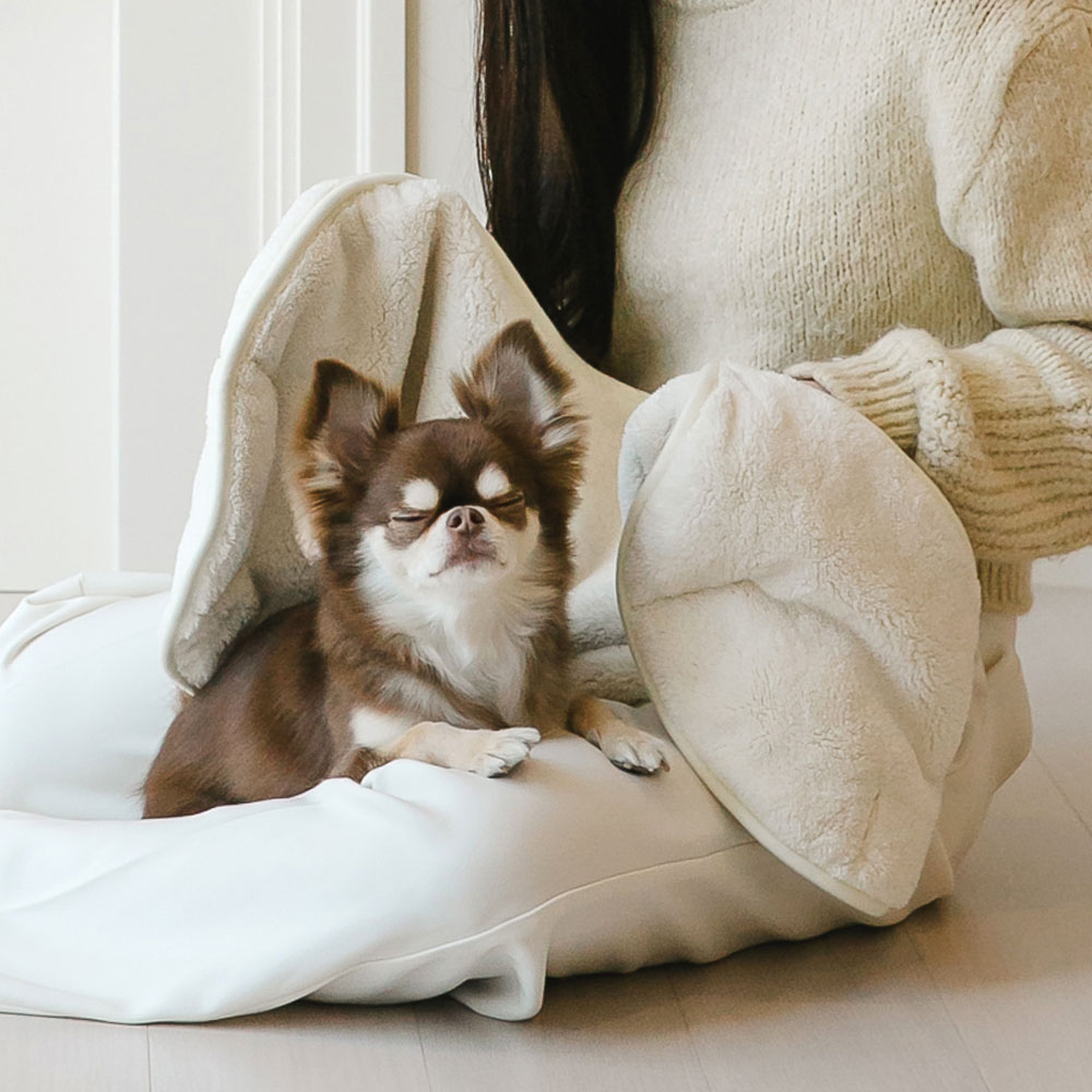 펫트리움 펫타올 강아지 고양이 목욕 수건 애견타올 담요 - 상세 이미지 3