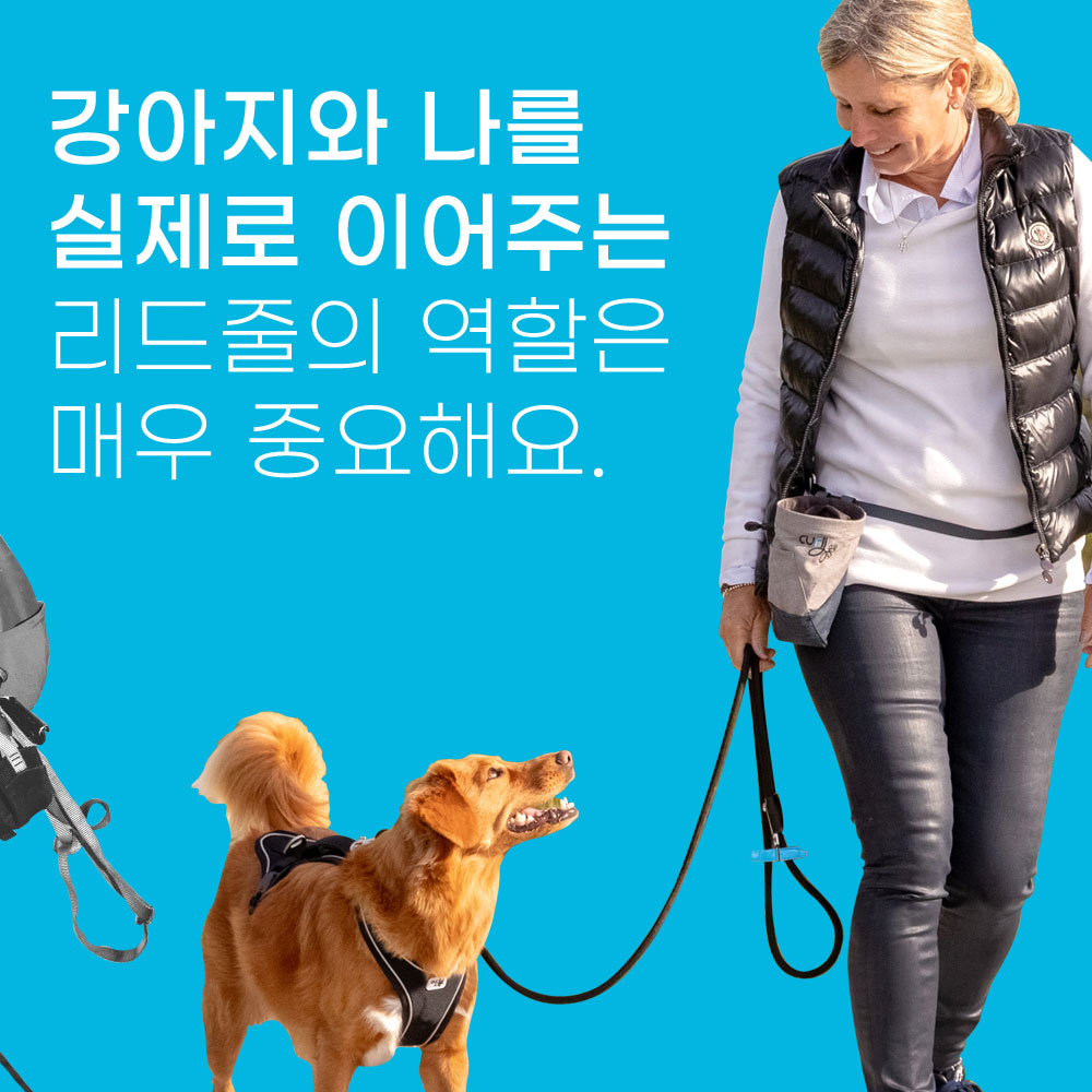 스위스 큘리 슈프림 컴포트 1.8m 리드줄 라임, M (체중 25kg까지) - 상세 이미지 4