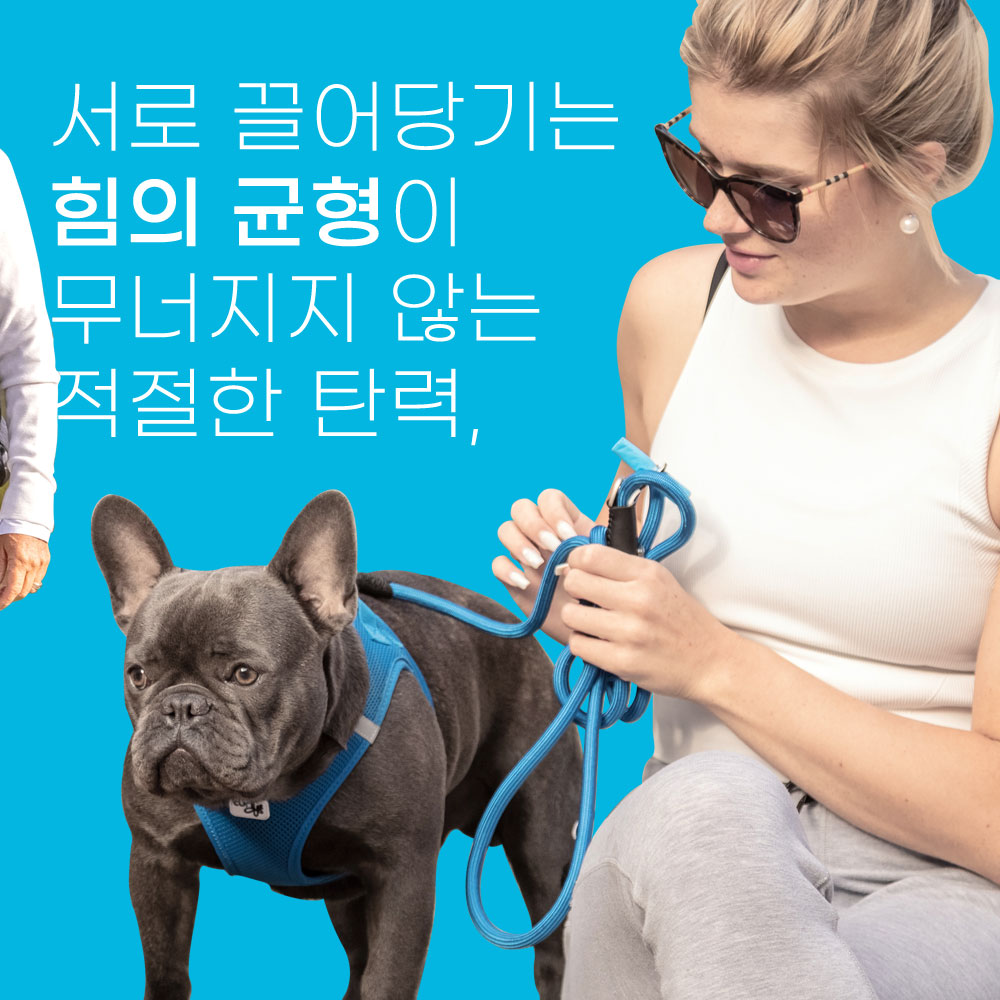 스위스 큘리 슈프림 컴포트 1.8m 리드줄 라임, M (체중 25kg까지) - 상세 이미지 5