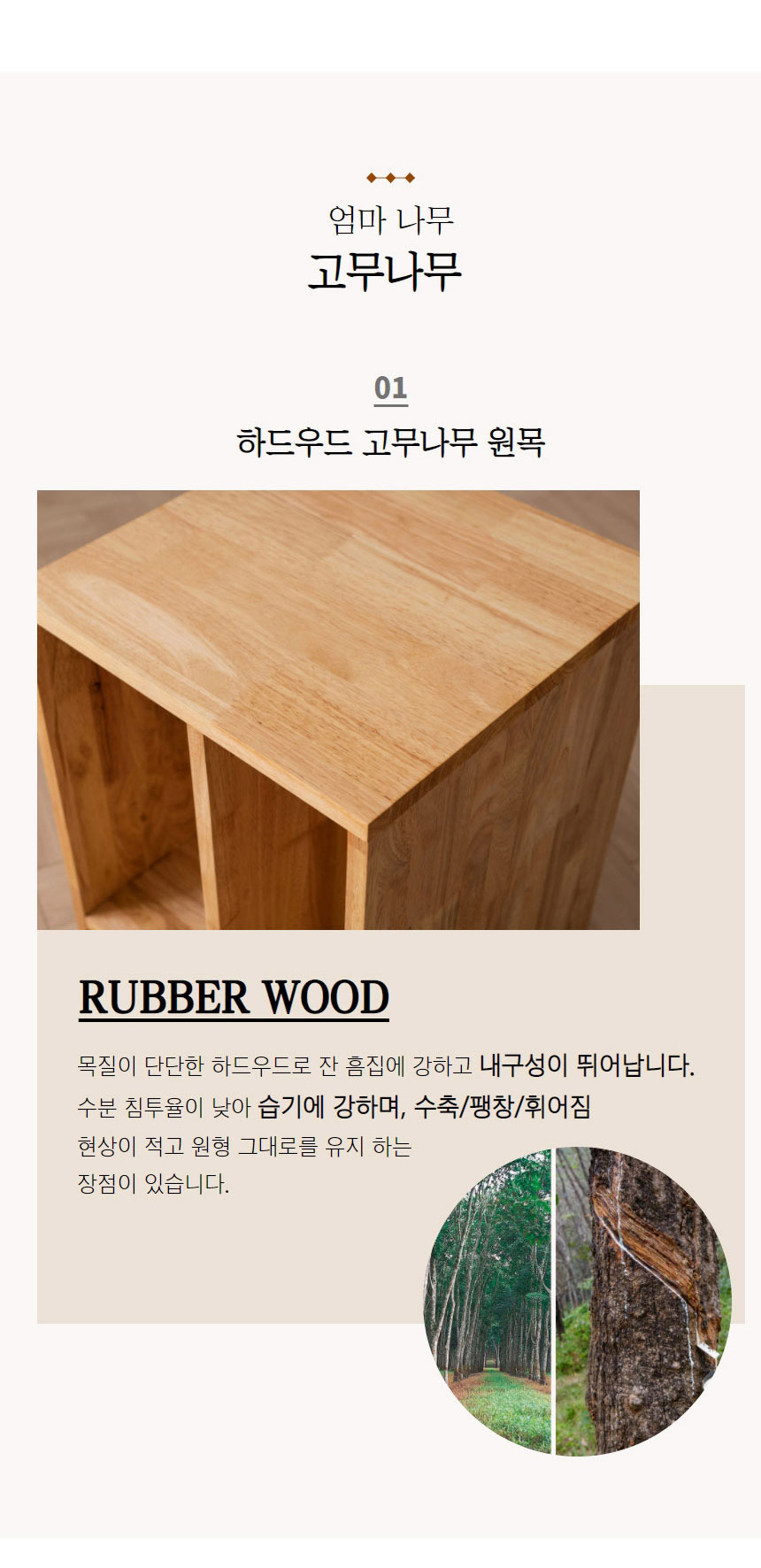 아리스타 원목 낮은 전면 2단 책장 800 상세 이미지 13