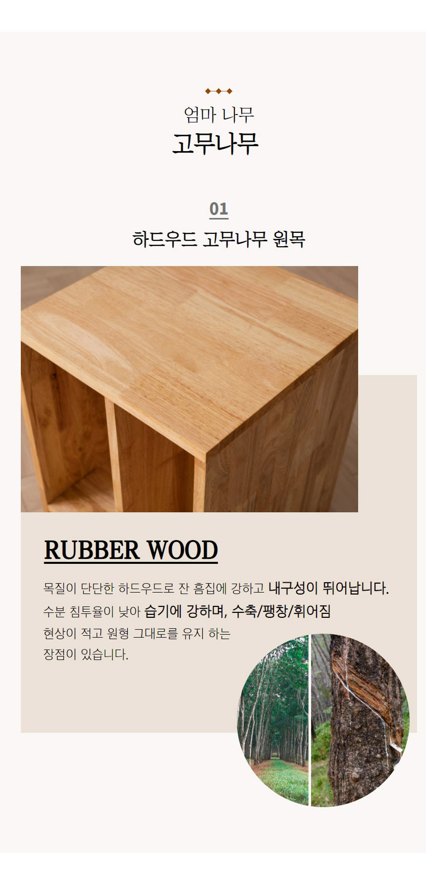 아리스타 원목 2단 낮은 책장 800 상세 이미지 14