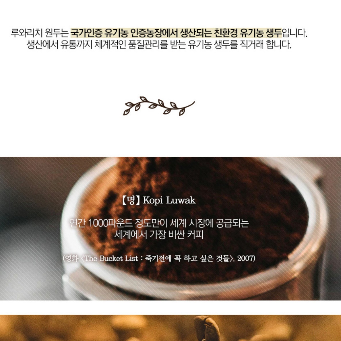 코피 르왁 200g 인도네시아 루왁 커피 사향 고양이 커피 원두 - 상세 이미지 4