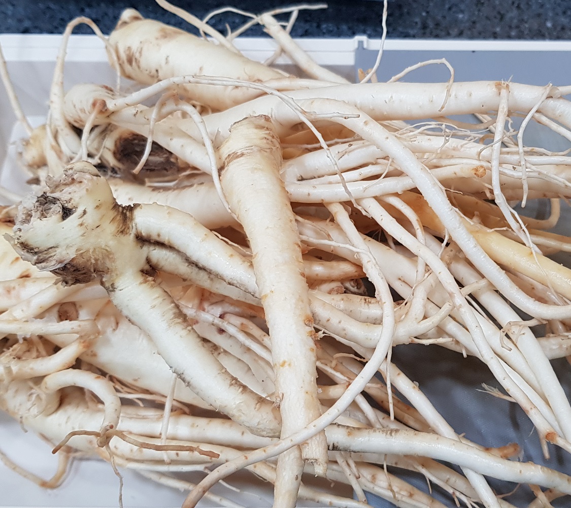 수제 꿀 도라지생강청 500g 진액 고농축 꿀도라지청 - 상세 이미지 5