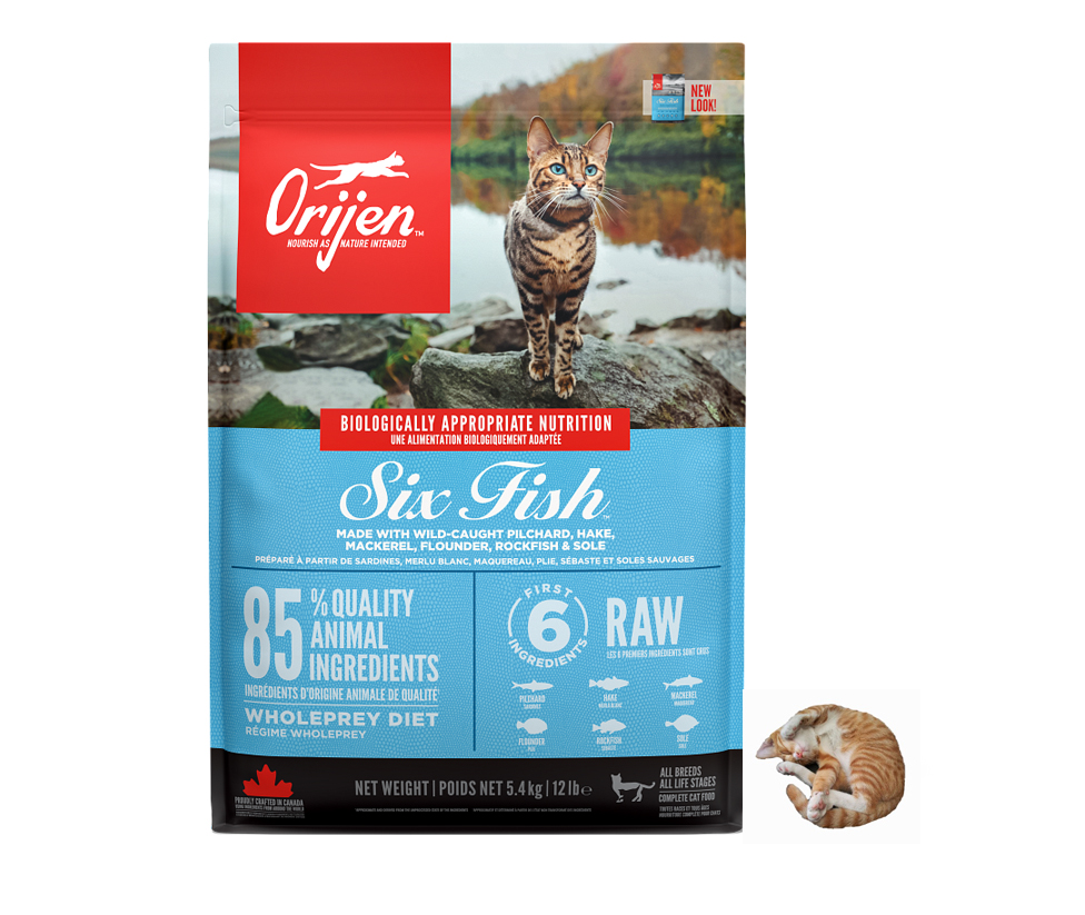 오리젠 식스피쉬 캣 고양이 사료 5.4kg+간식+소분봉투 - 상품 이미지