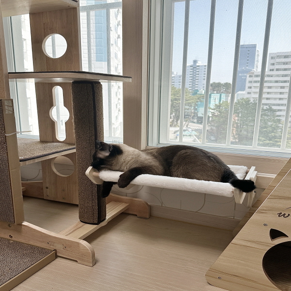 아텍스 고양이 해먹