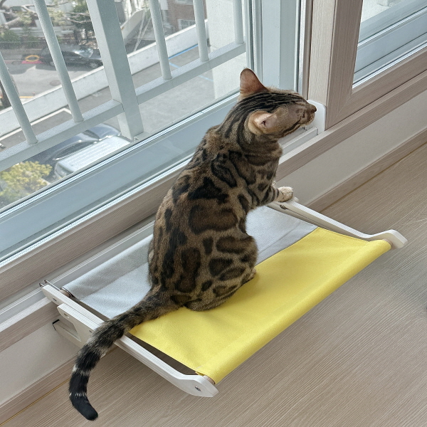 아텍스 고양이 해먹