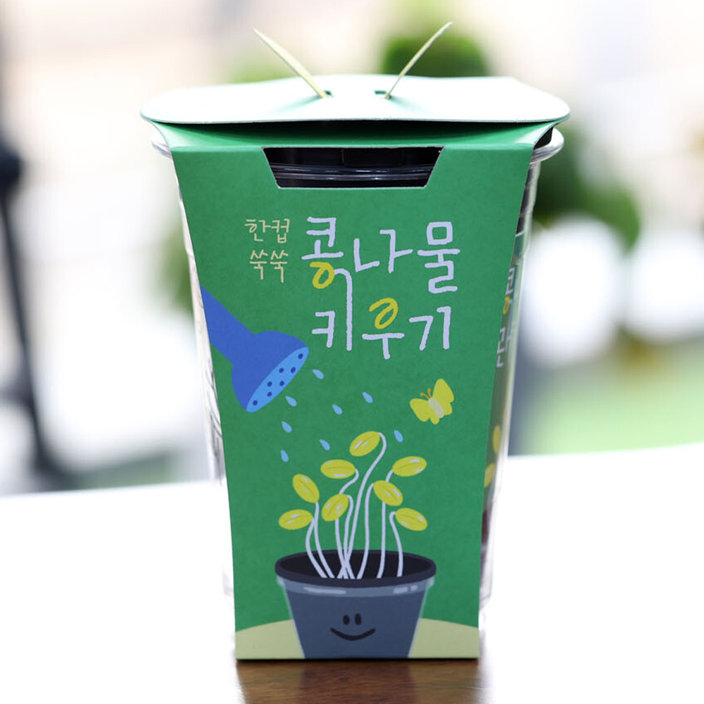 콩나물키우기 어린이 실험 재배 키트 - 상세 이미지 3