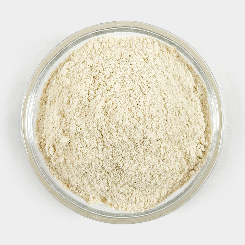 국산 황기가루 황기분말 250g - 상세 이미지 3