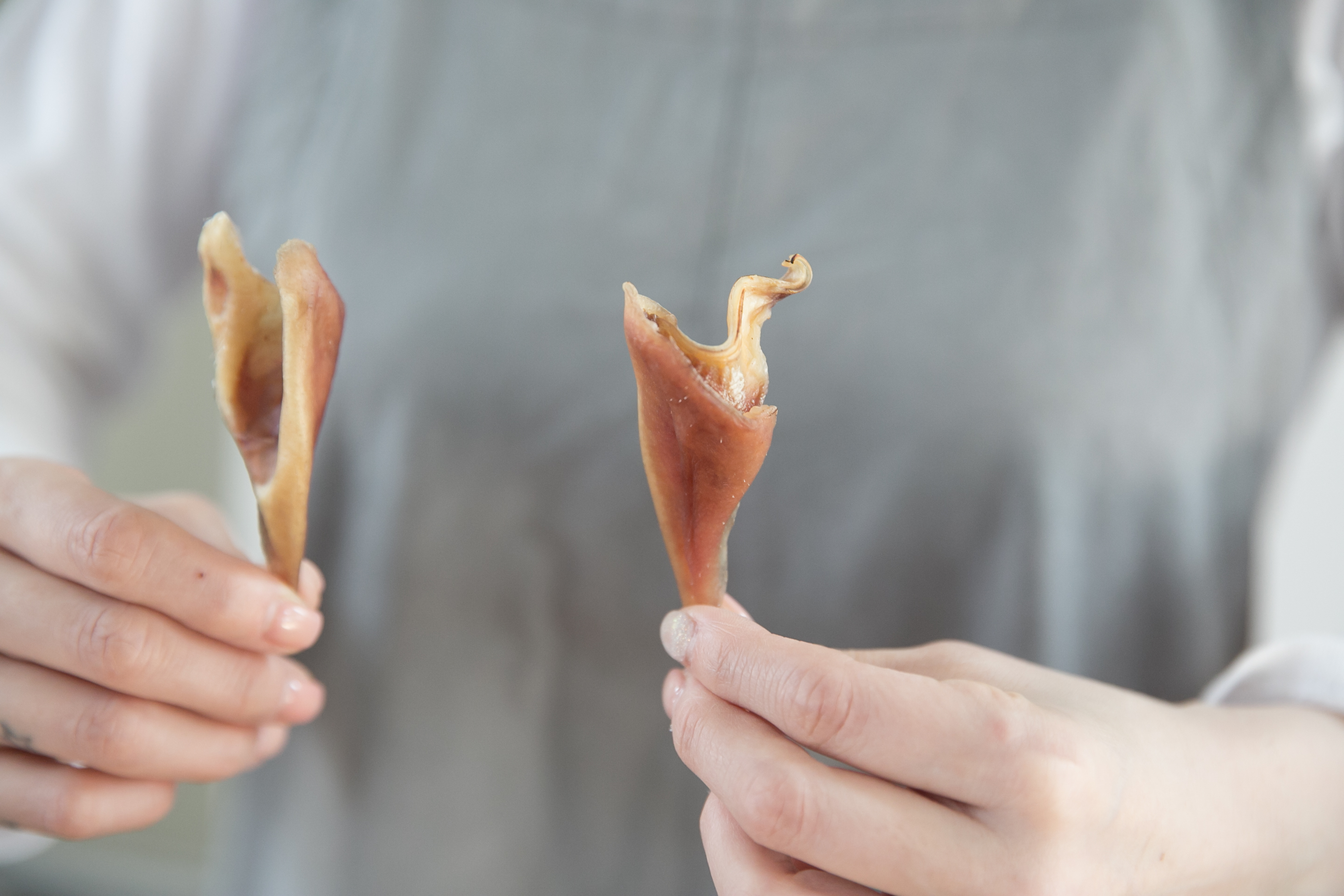 강아지 수제 간식 대형견 개껌 돼지귀 오돌뼈 100g - 상세 이미지 2