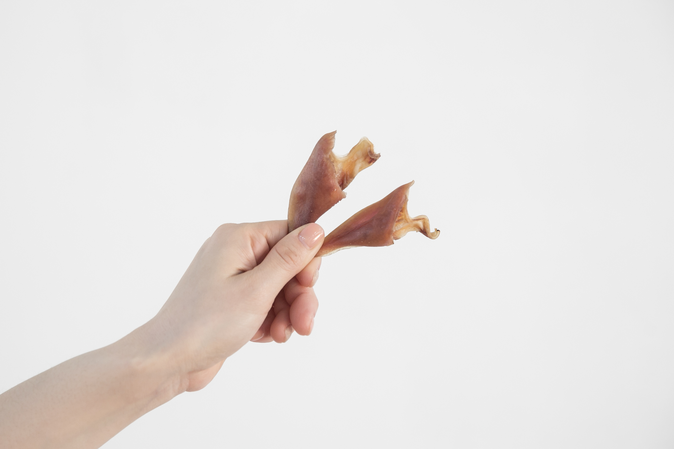 강아지 수제 간식 대형견 개껌 돼지귀 오돌뼈 100g - 상세 이미지 5