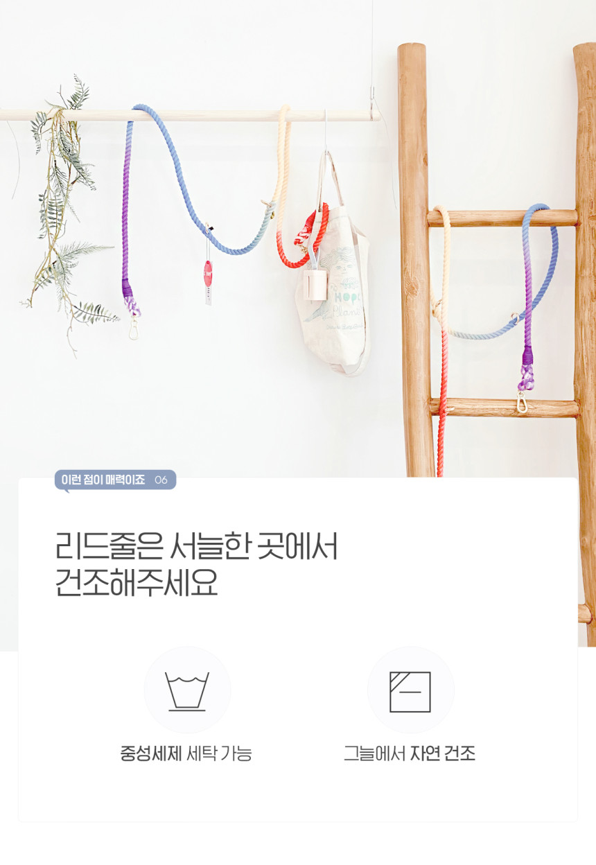 개님의상점 핸즈프리 레인보우 6 in 1 순면 로프 리드줄 상세 이미지 29