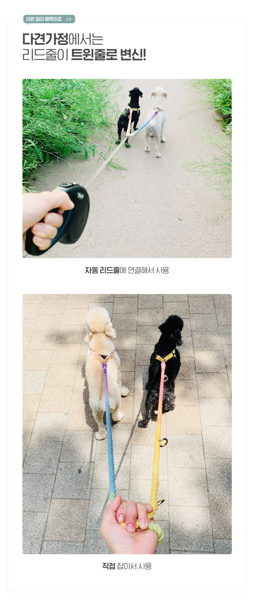 개님의상점 핸즈프리 레인보우 6 in 1 순면 로프 리드줄 상세 이미지 25