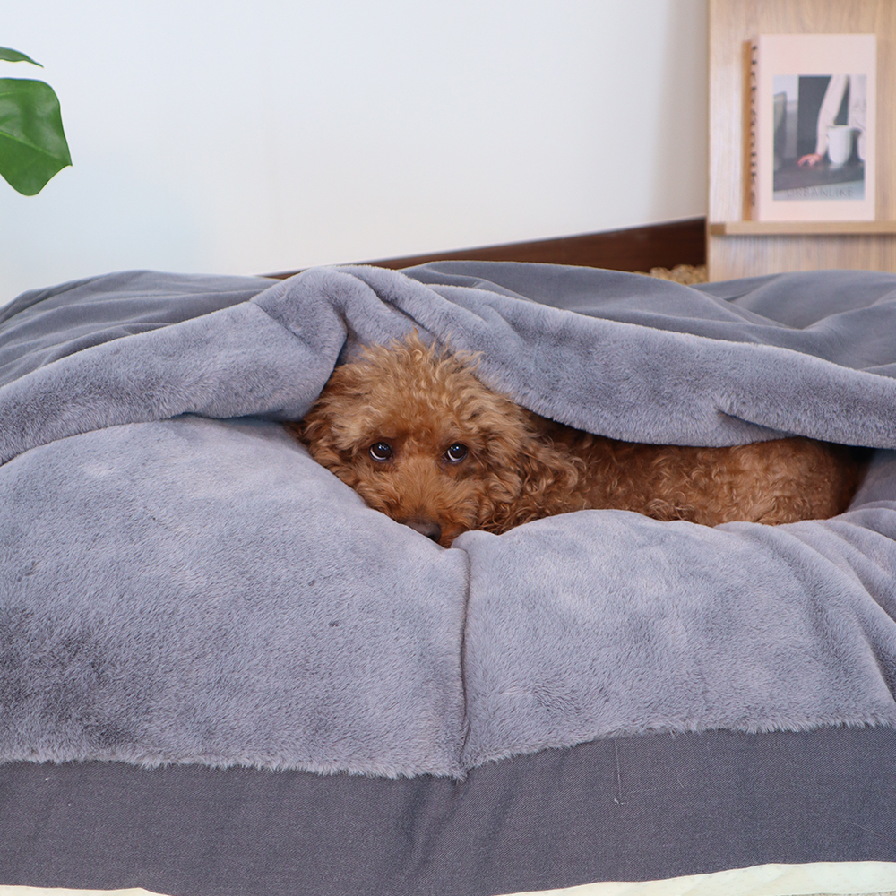 개과천선 하이드 애견 방석 침대 강아지 방석 슬개골 예방 쿠션 고양이 숨숨집 담요