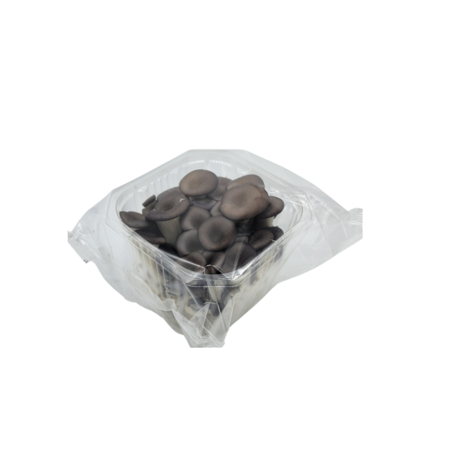 국산 친환경 무농약 GAP 느타리버섯  180g 이상 6팩 1박스 1.1~1.2kg 흑타리 - 상세 이미지 4
