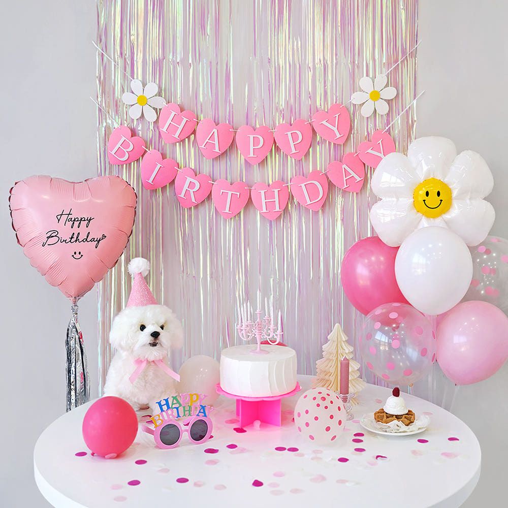 애견 반려견 강아지 생일파티 고양이 생일상 돌잔치 용품 소품 세트 감성 파스텔 심플 상세 이미지 4