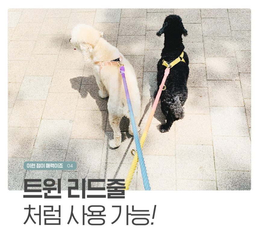 개님의상점 핸즈프리 레인보우 6 in 1 순면 로프 리드줄 상세 이미지 24