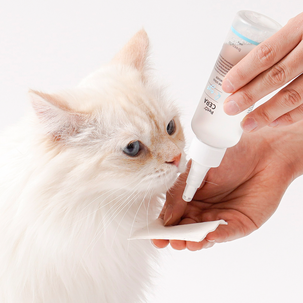 [고양이의 날] 페토세라 강아지 고양이 저자극 눈가 세정제 큐아이 120ml, 1개 - 상세 이미지 3