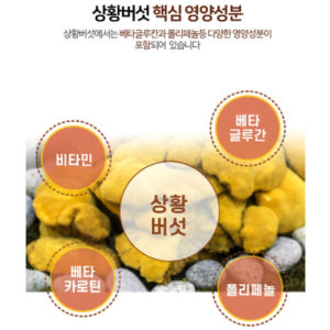 빛가람 참나무 상황버섯 분말 가루 100% 국내산 면역 베타글루칸 비타민... 맛있게 먹은 솔직 후기 - 상품 이미지 2