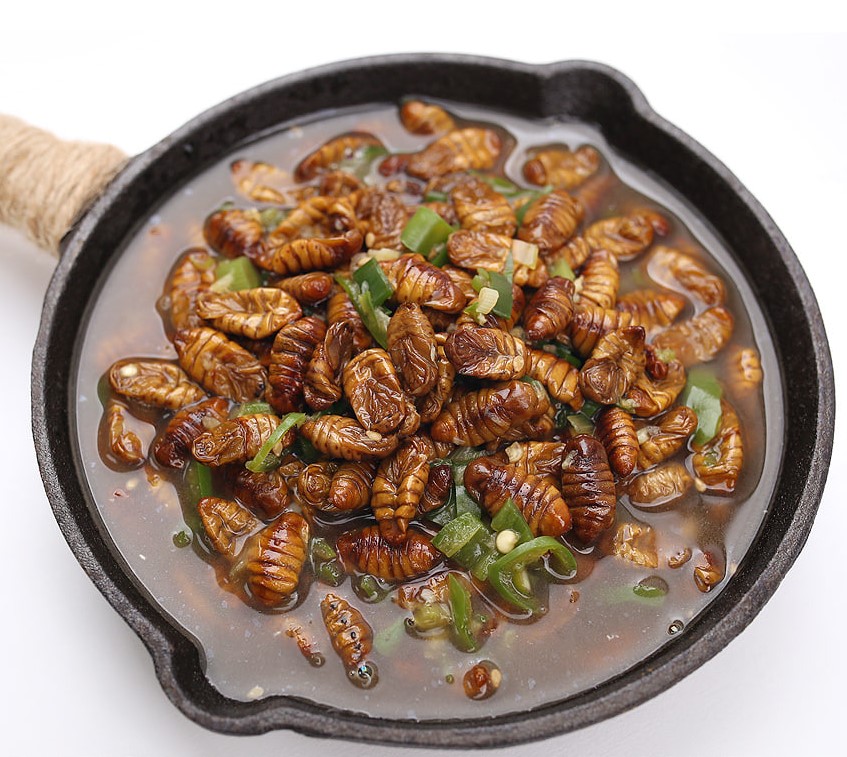 번데기 번대기 단백질 번데기탕 요리 생번데기 냉동 1kg - 상세 이미지 4
