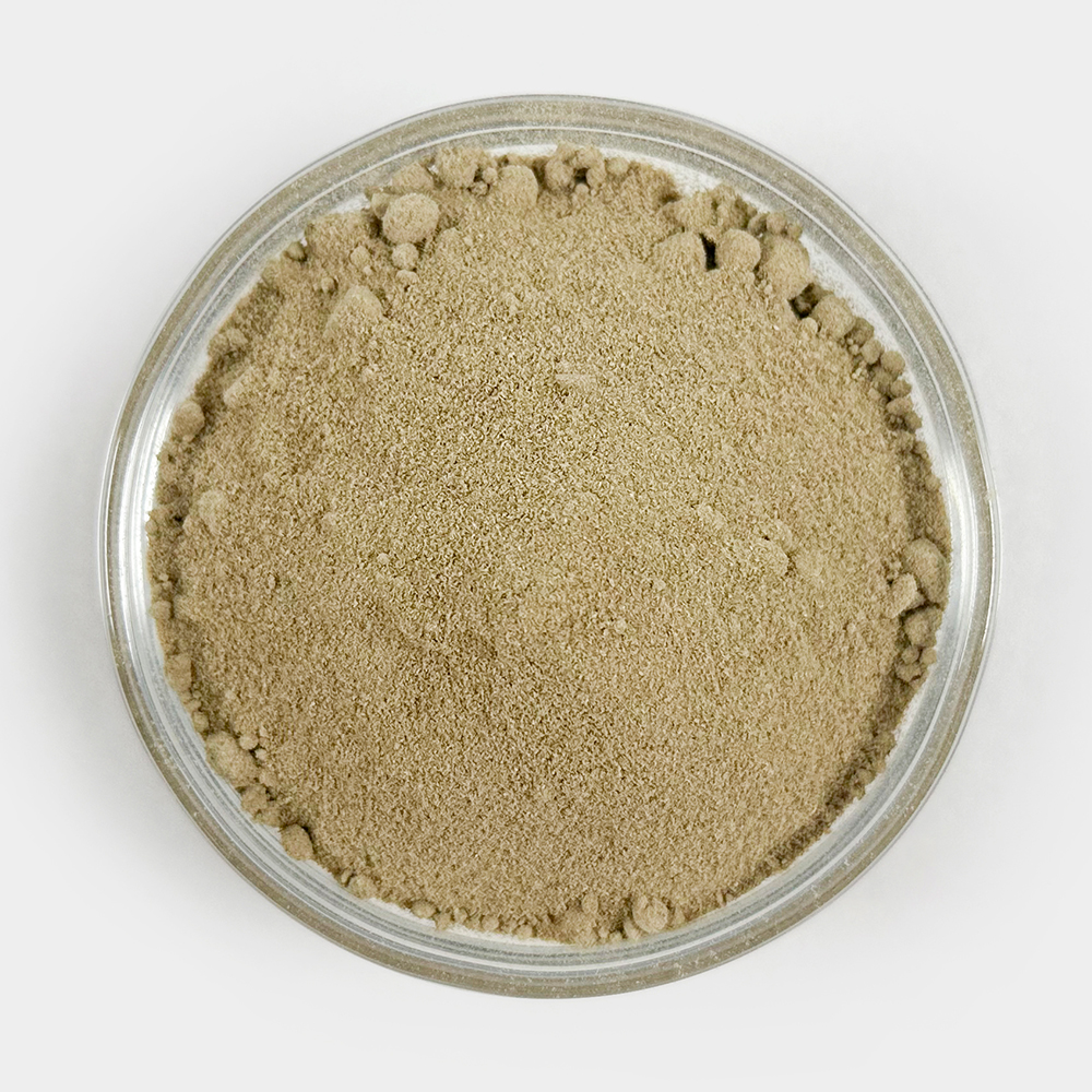 오허브 당귀가루 당귀분말 250g - 상세 이미지 3