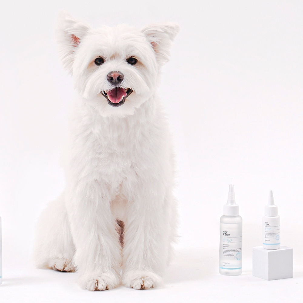 [고양이의 날] 페토세라 강아지 고양이 저자극 눈가 세정제 큐아이 120ml+보송보솜 80매 세트 - 상세 이미지 4