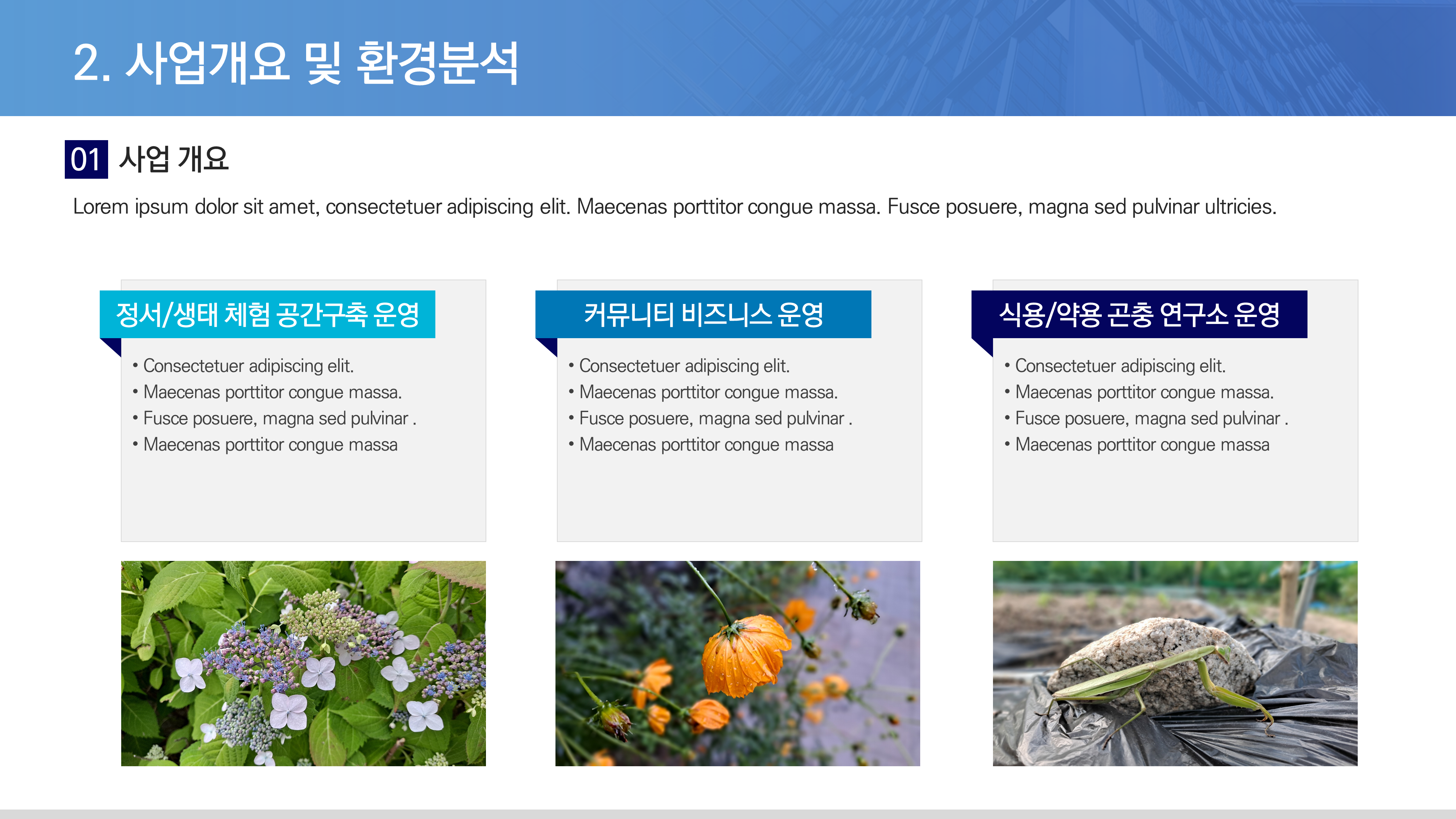 상품 이미지 3