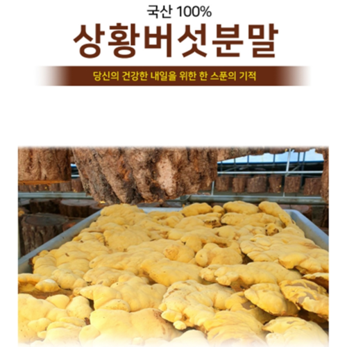 빛가람 참나무 상황버섯 분말 가루 100% 국내산 면역 베타글루칸 비타민 100g, 2개 이미지 4