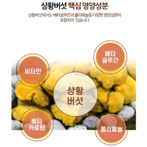 빛가람 참나무 상황버섯 분말 가루 100% 국내산 면역 베타글루칸 비타민 100g, 2개 이미지 2