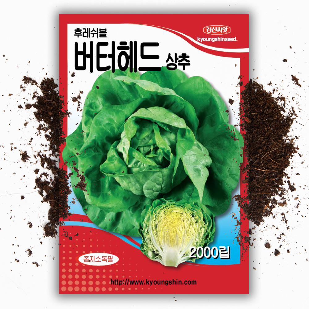 유럽상추 버터헤드 후레쉬볼 상추씨앗 2000립 쌈채소 - 상품 이미지