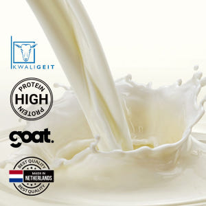 네덜란드 산양유 단백질 분말 가루 200g 맛있게 먹은 솔직 후기 - 상품 이미지 4