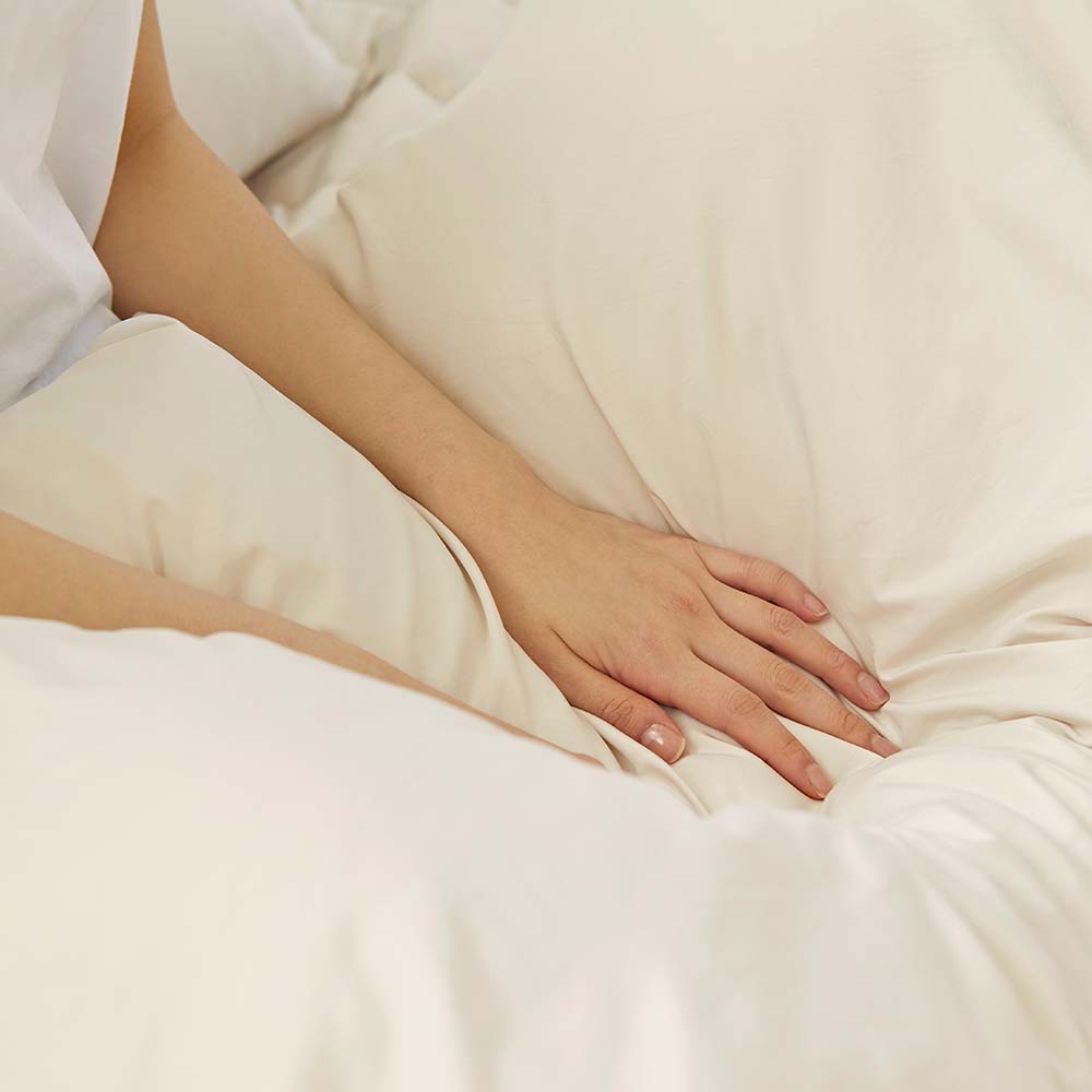 호무로 Signature 마카롱 독일 온도조절 기술 프리미엄 알러지케어 항균 차렵이불 SS