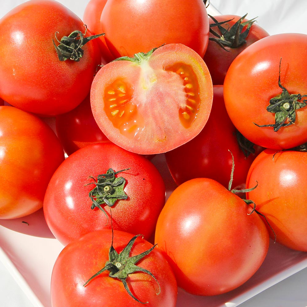 주스용 완숙 토마토 5kg 실중량