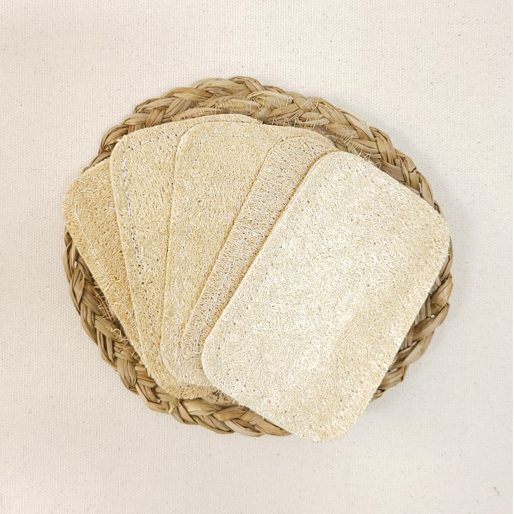 천연수세미 제로웨이스트 수세미 열매 식물 루파 주방 설거지