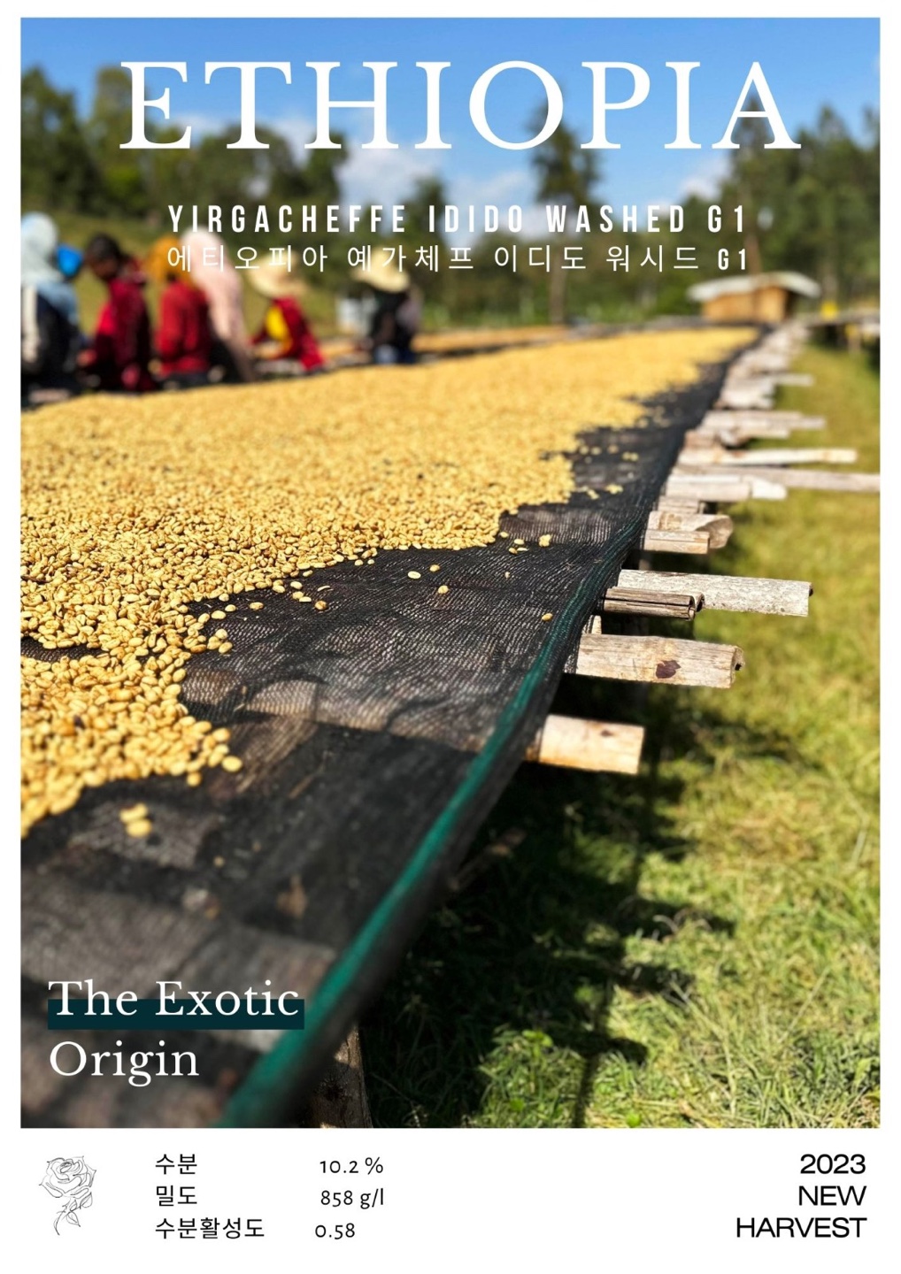 에티오피아 예가체프 이디도 워시드 G1 5KG (ETHIOPIA YIRGACHEFFE IDIDO WASHED G1)