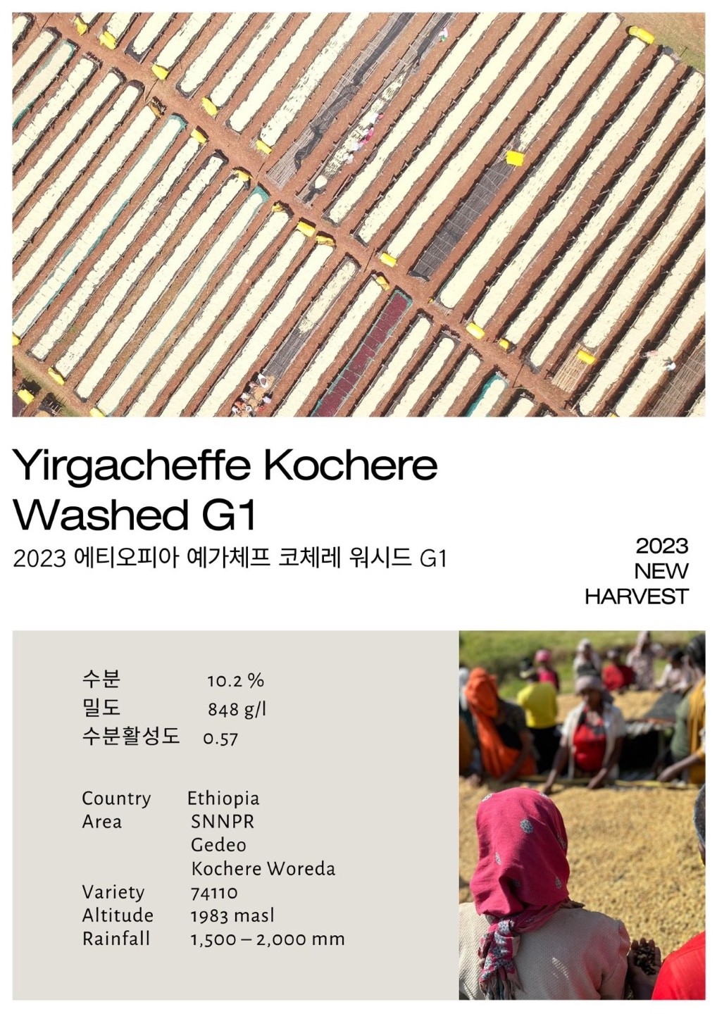 에티오피아 예가체프 코체레 워시드 G1 1KG (ETHIOPIA YIRGACHEFFE KOCHERE WASHED G1)