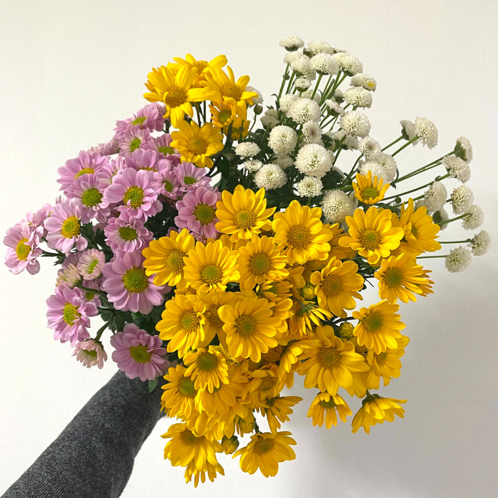 소국 꽃 생화 꽃다발 화병 가격 비교 루담하우스 소국 꽃 생화 꽃다발 화병
