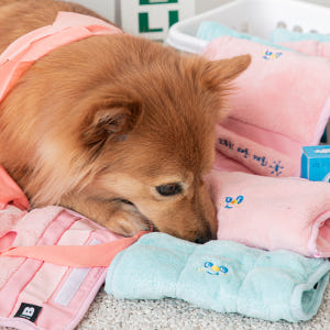 바잇미 보송보송 수건 장난감 (노즈워크/삑삑) - 핑크(노주옥구 대회) 솔직 후기 | 실제 사용자 리뷰 총정리 - 상품 이미지 2