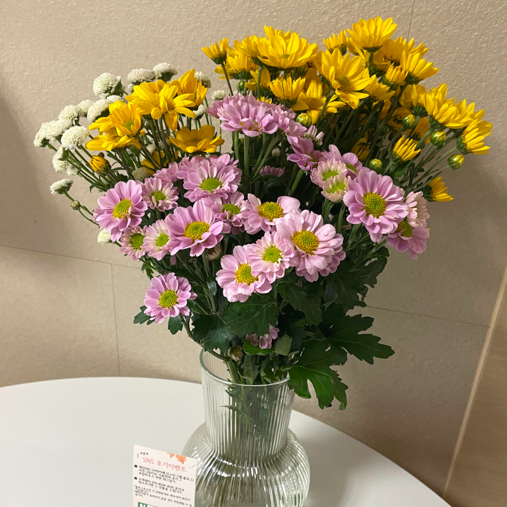 소국 꽃 생화 꽃다발 양재꽃시장 화병 기념일 졸업식 꽃집 꽃배달 생화택배 꽃배달싼곳 - 상세 이미지 5