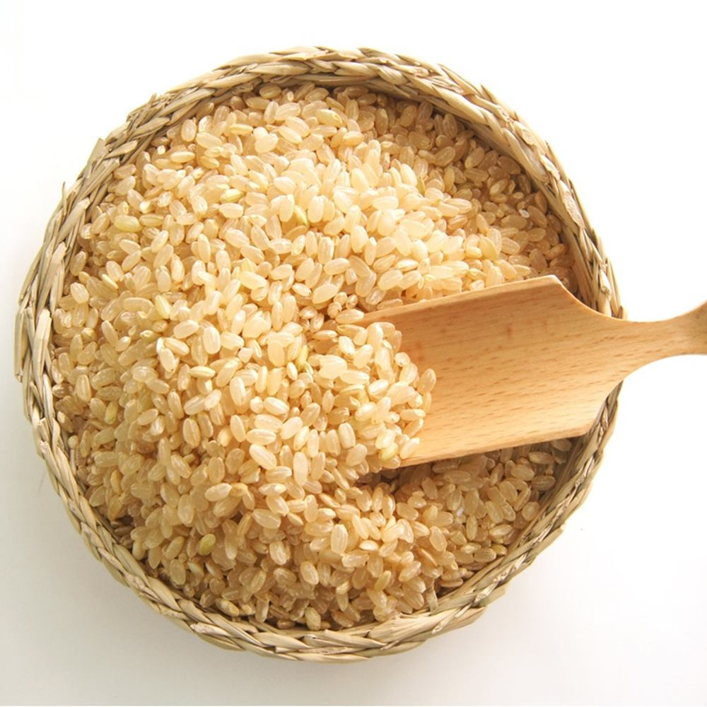 안성마춤농협 현미 5kg 24년 햅쌀 참드림 당일도정 오분도미